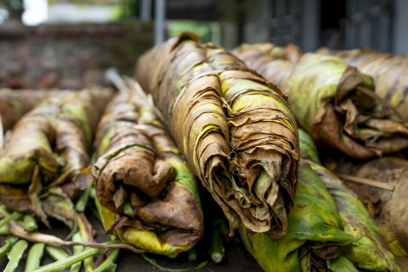 Ripe tobacco leaves heaped on market