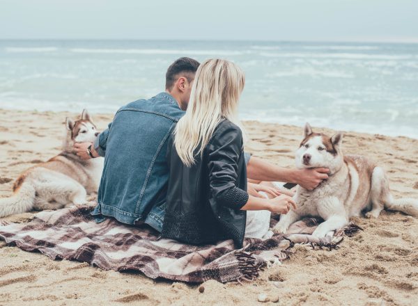 young couple with husky dogs
