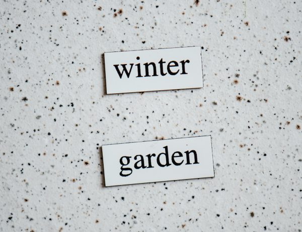 protect your fruit and veggie garden in the winter